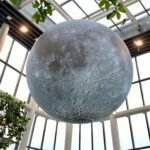 Harnessing the Moon's Rhythm: Aligning Creative and Business Projects with Lunar Cycles